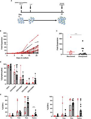 Off-the-Shelf Partial HLA Matching SARS-CoV-2 Antigen Specific T Cell Therapy: A New Possibility for COVID-19 Treatment